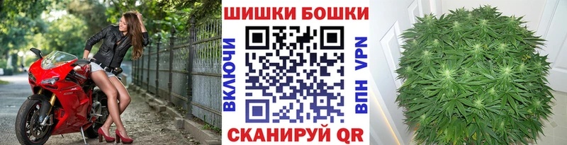 Шишки марихуана MAZAR  Лагань 